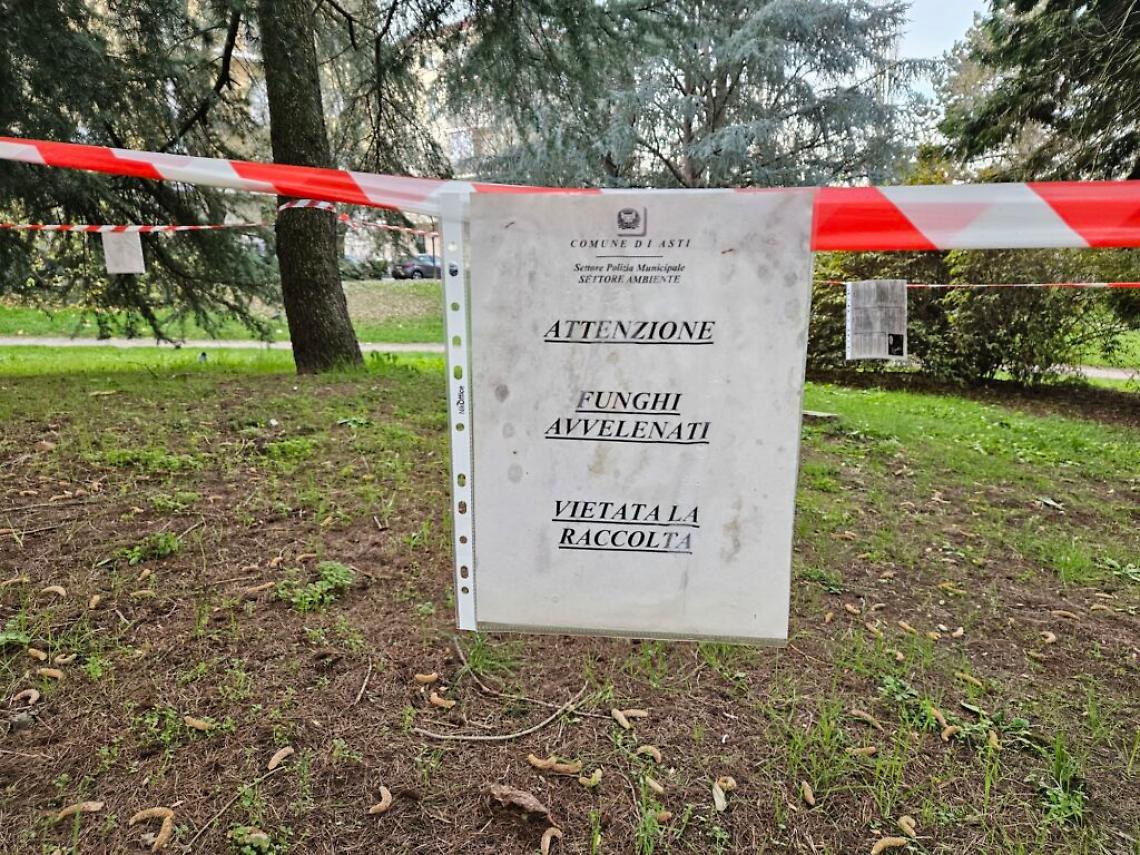 funghi avvelenati