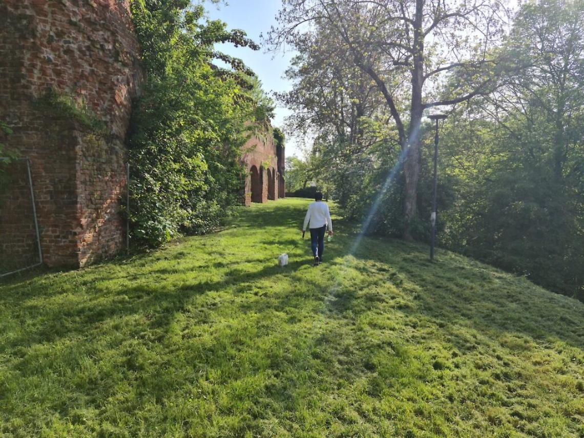 antiche mura di asti