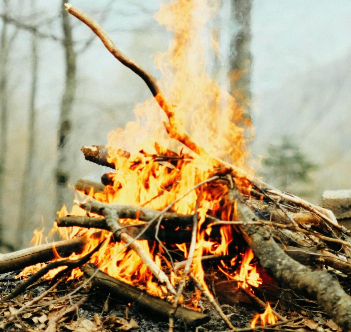 bruciare fuoco ramaglie