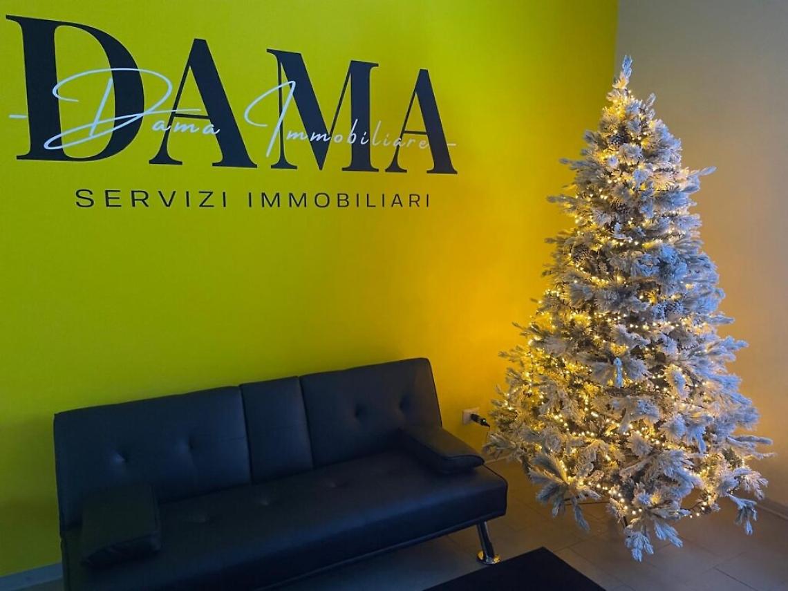 dama immobiliare