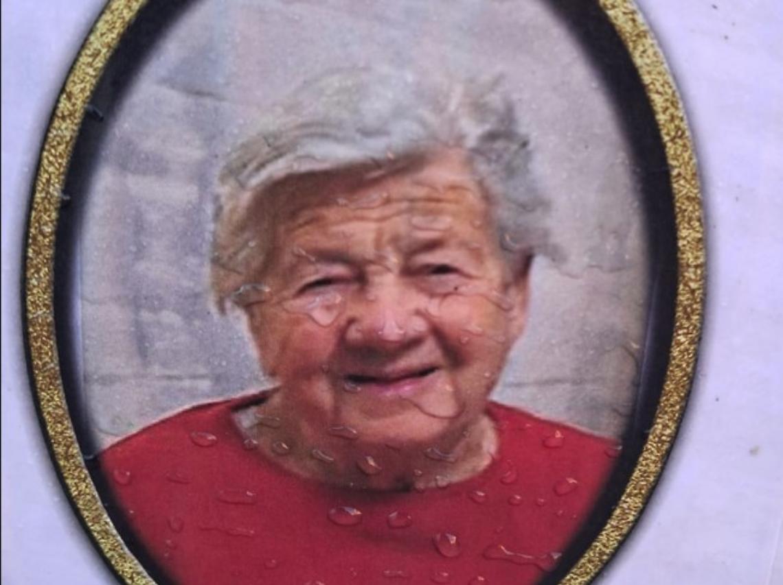 Luisella Bologna sito