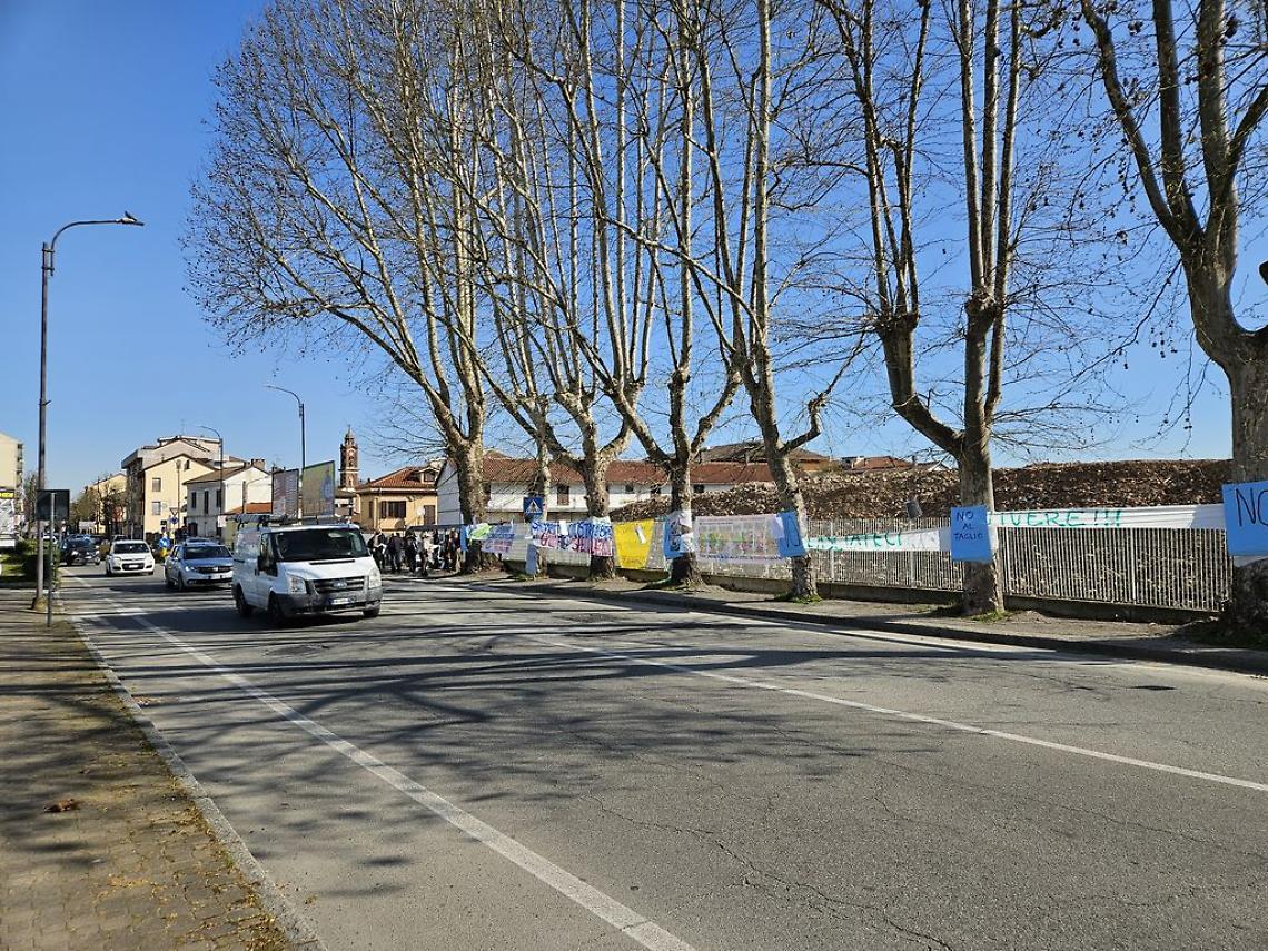 Platani di corso Savona protesta sit in risultato