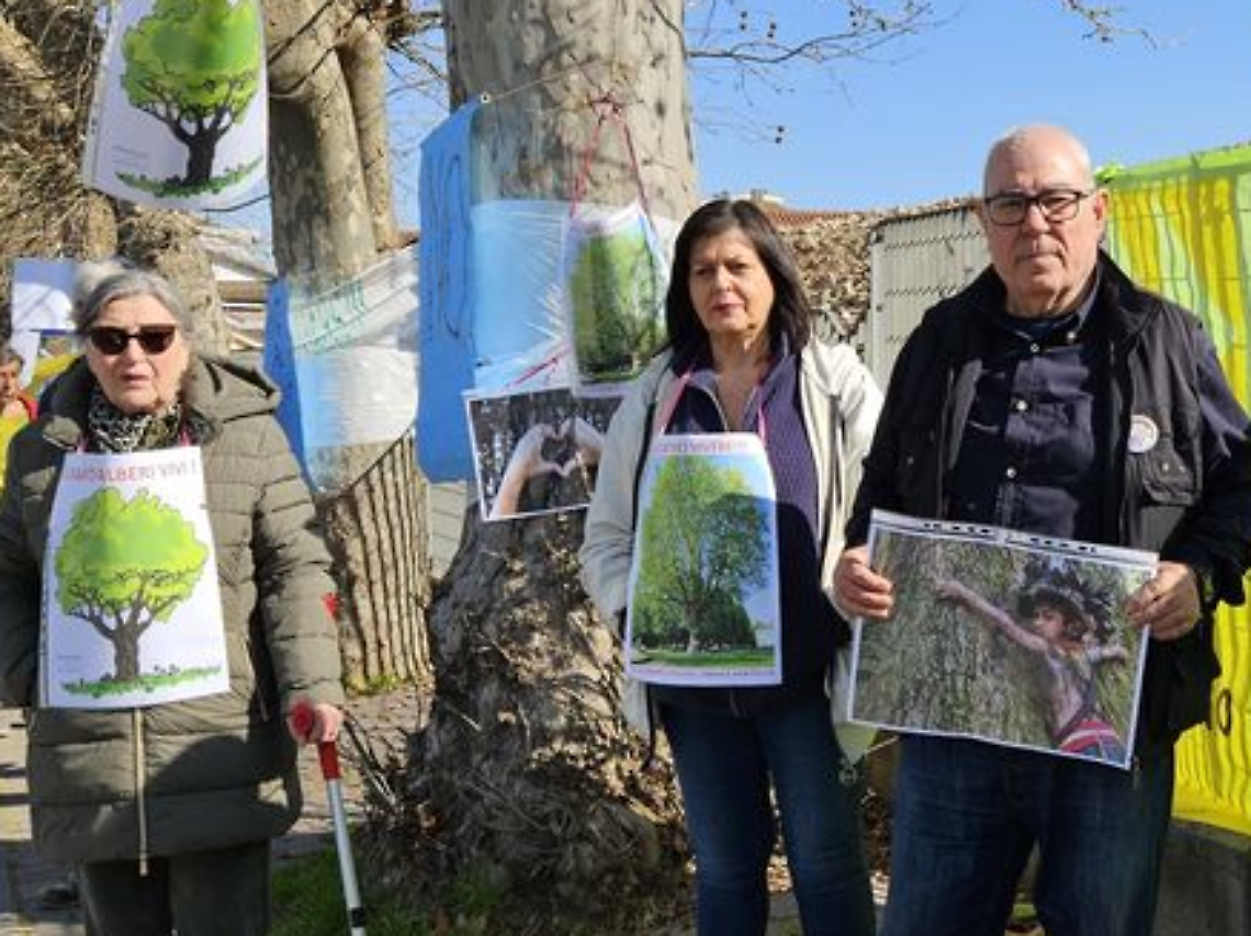 Platani di corso Savona protesta sit in risultato