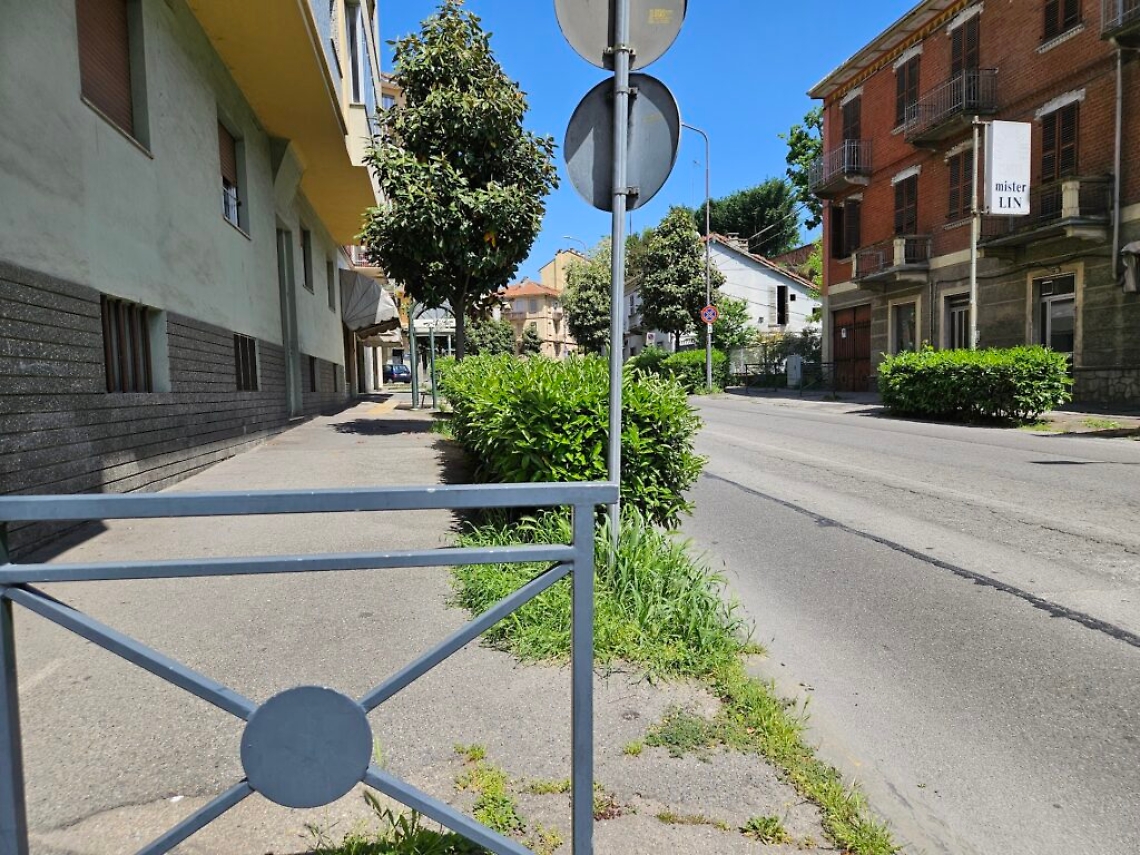 siepe viale partigiani