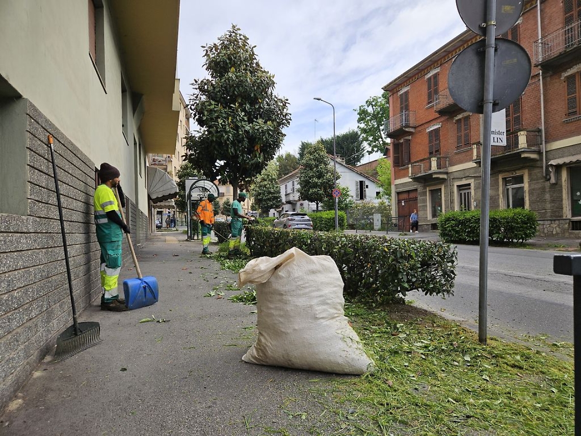 taglio siepe tra via Fantaguzzi e viale Partigiani