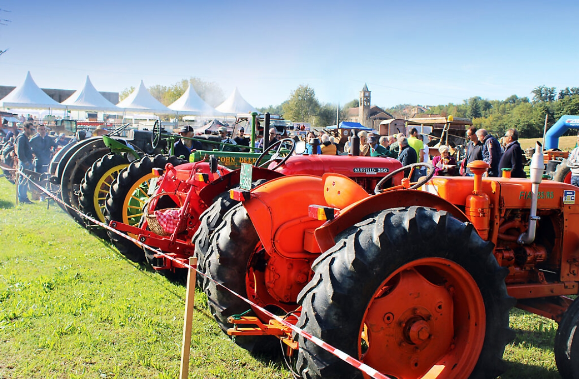 festacontadinareport