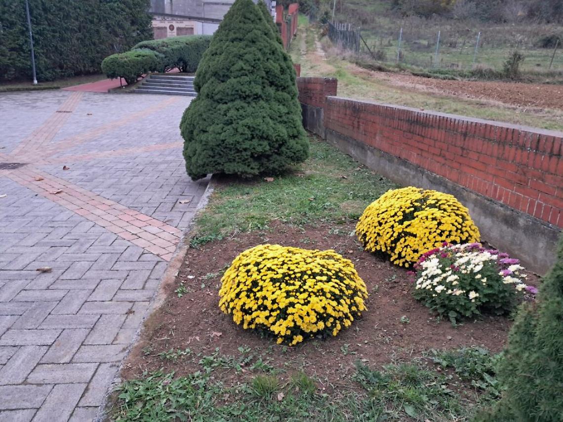 Castelnuovo Don Bosco: torna il "riciclo" dei vasi di crisantemi