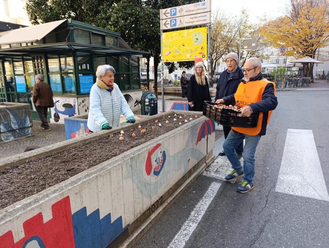 Torino, Messer Tulipano torna in Piazza Emanuele Filiberto [photogallery]