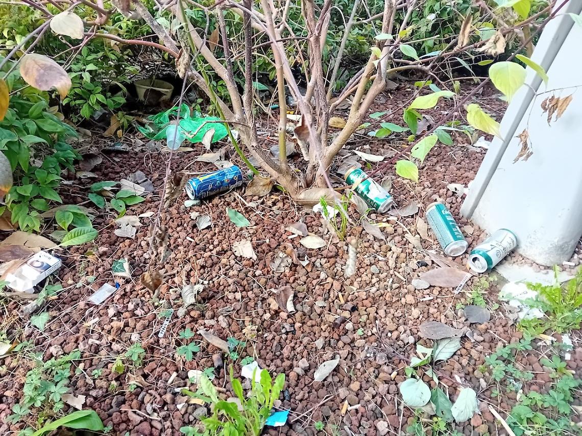 Area verde piazza Martiri della Liberazione