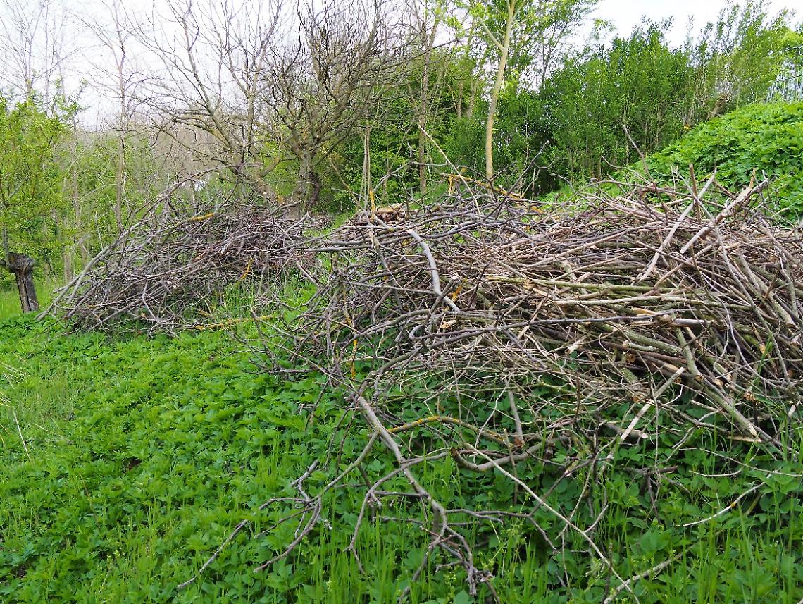 &laquo;I sindaci devono poter decidere deroghe sul divieto di bruciare ramaglie&raquo;