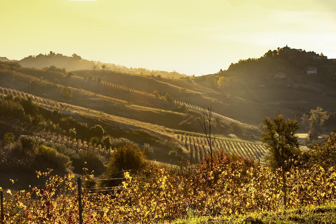 Castelnuovo Don Bosco raccontato da GRP Piemonte