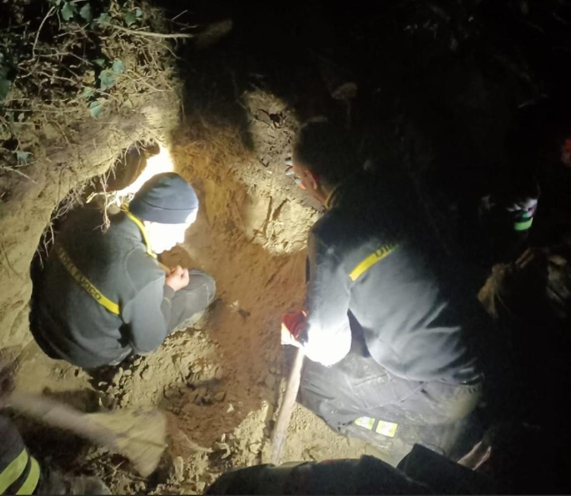 Vigili del Fuoco di Asti salvano cane setter Mila