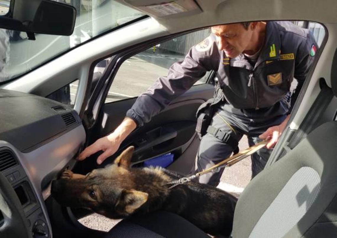 Usati anche i "cash dog" per il sequestro di 2 milioni e mezzo di euro ad una famiglia rom