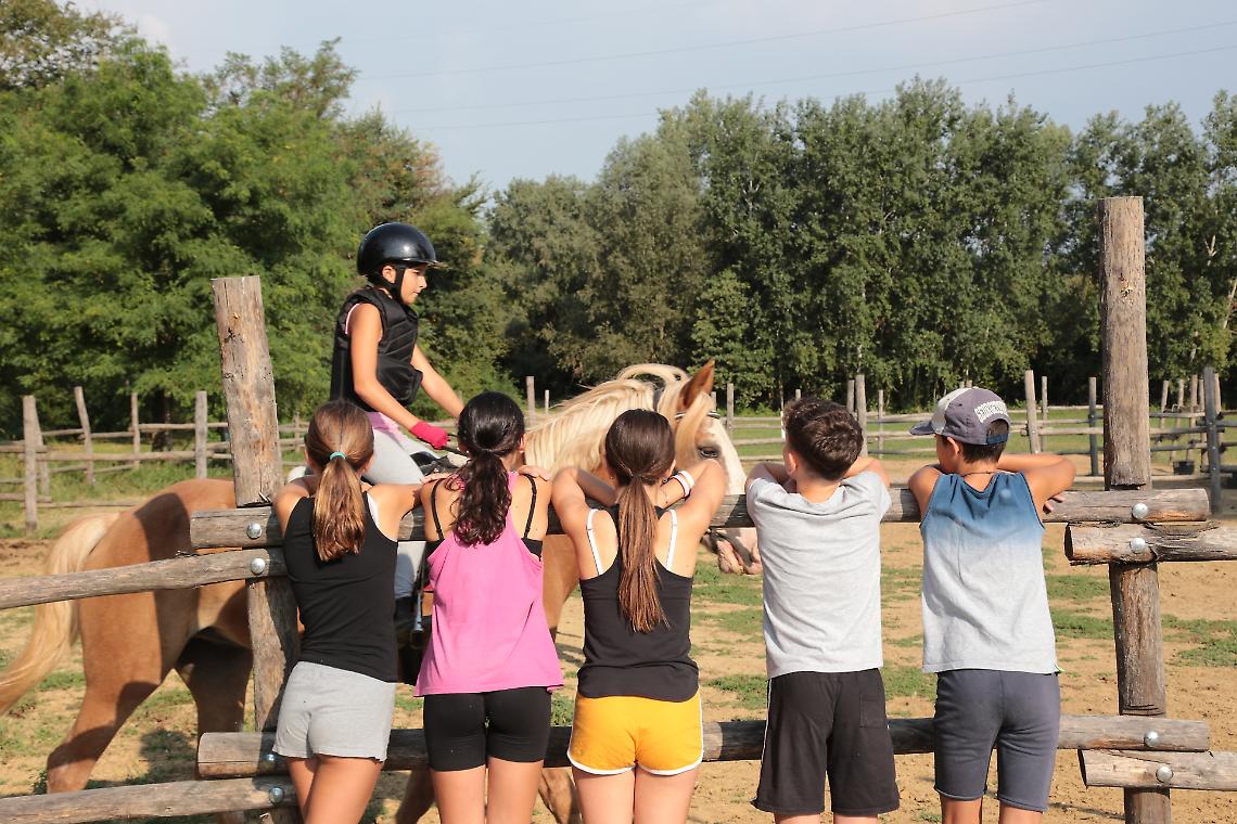 Le fattorie didattiche diventano "ponte" tra giovani e agricoltura