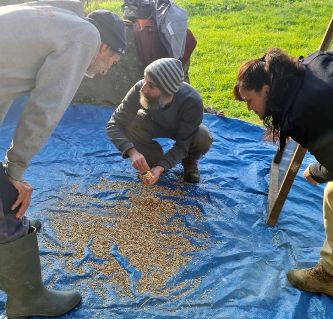 Un sacco di semi al mulino Polleri Balocco: biodiversit&agrave;, scambio e sapori contadini