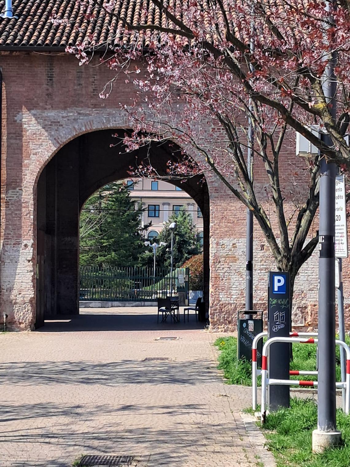 Avvocato aggredito  a pugni fuori dal tribunale