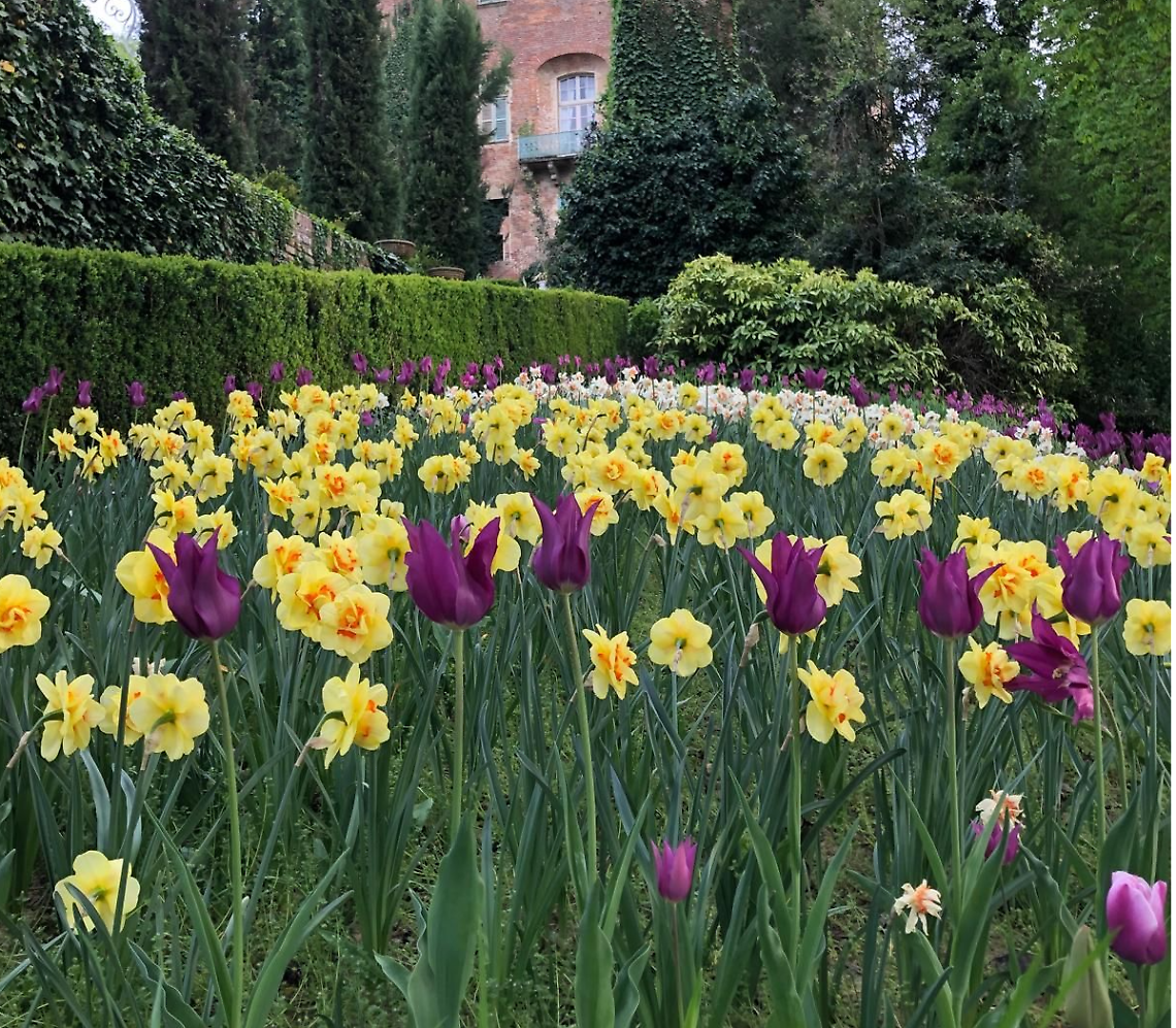Narciso incantato al Castello di Piea
