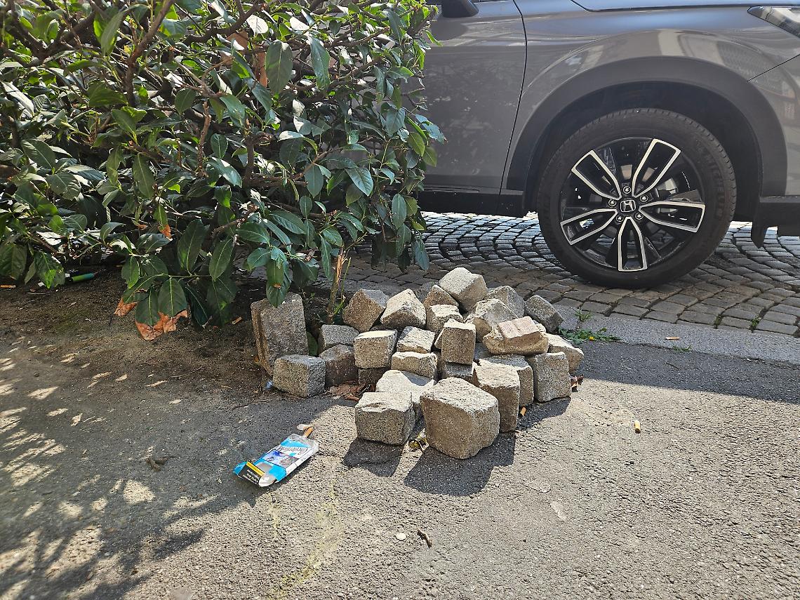 Porfido "falcidiato" e siepi diventate discariche, Ambiente Asti interpella su corso Torino