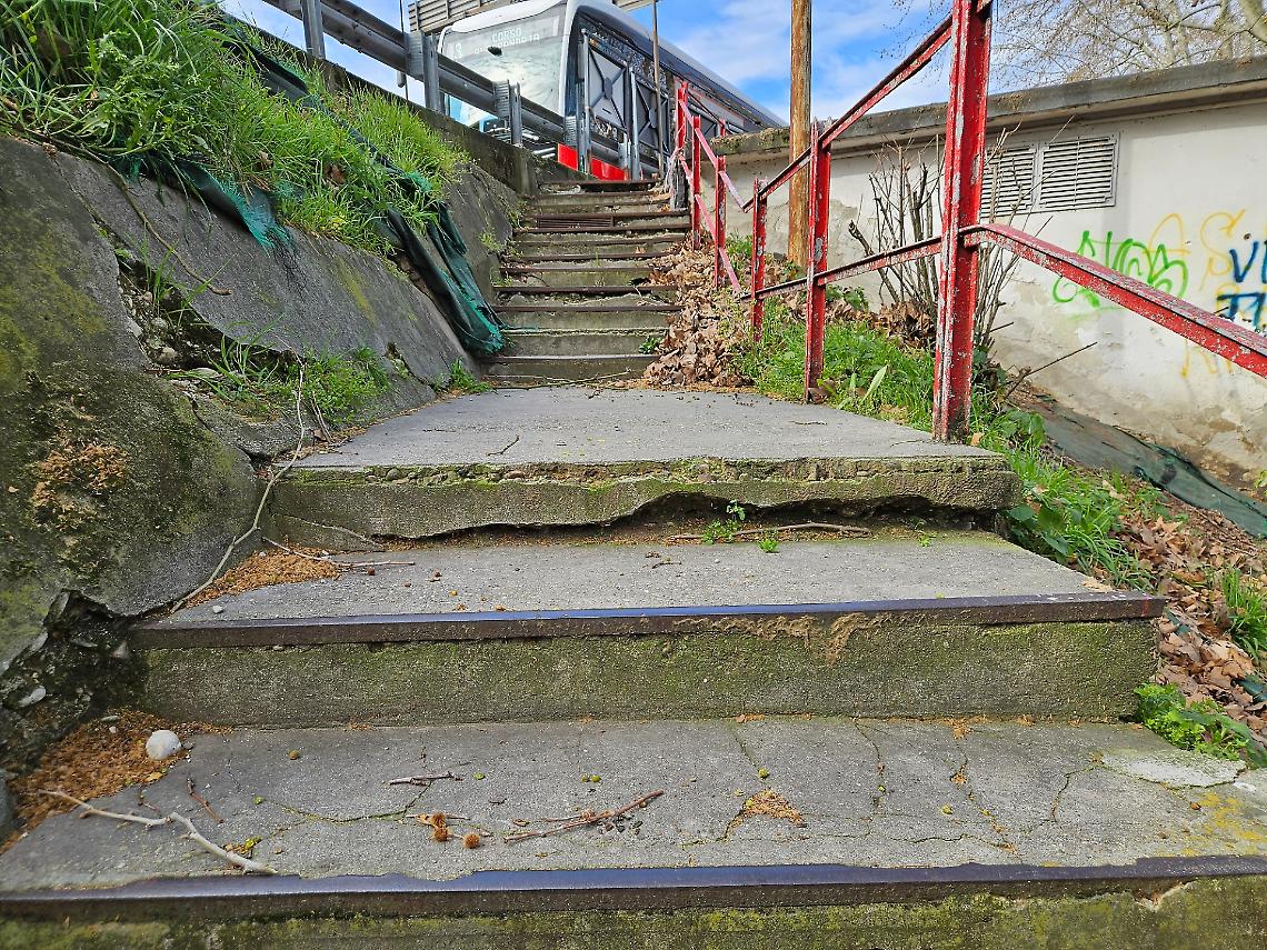 Ancora insidie e incuria tra i gradini delle scalinate di piazza del Palio [FOTO]