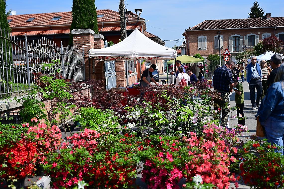 Il giardino all'aperto di Fiori in fiera regala grandi applausi a Iva Zanicchi