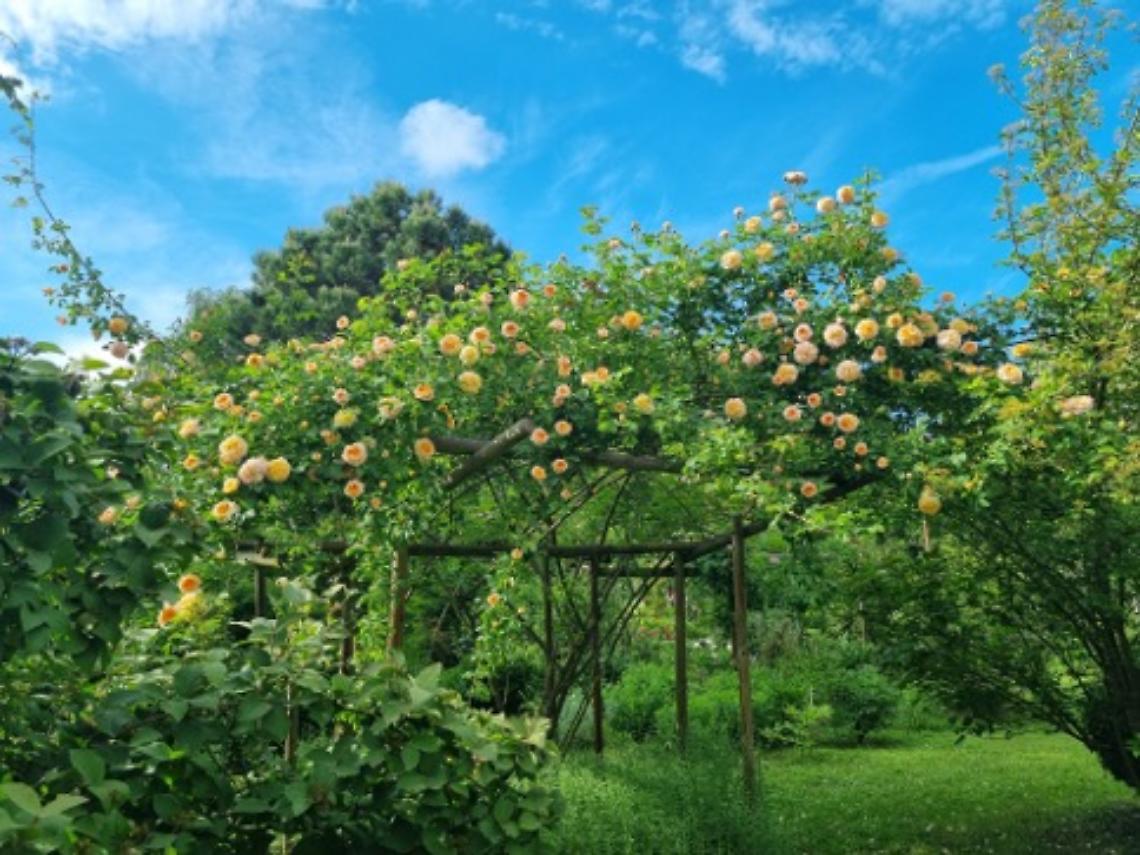 Il Giardino segreto di Arianna