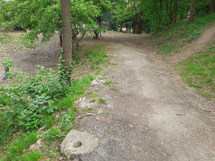 179226567_304439091065483_6334547579455440019_n