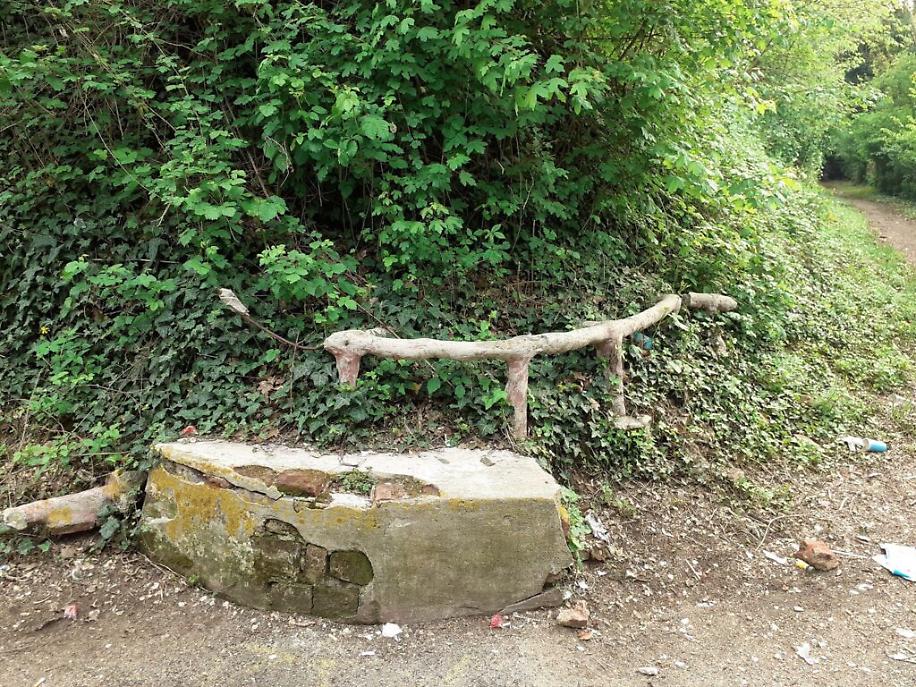 179431566_304437861065606_570622709519002191_n