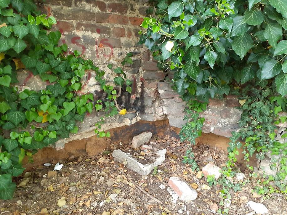 180228710_304436007732458_1297889757498164370_n