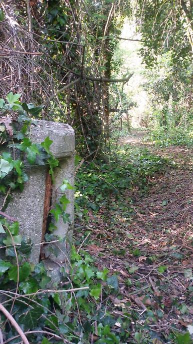 WhatsApp Image 2021-05-08 at 20.35.14