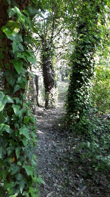 WhatsApp Image 2021-05-08 at 20.48.13 (4)