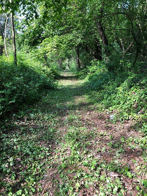 WhatsApp Image 2021-05-08 at 21.48.35 (1)