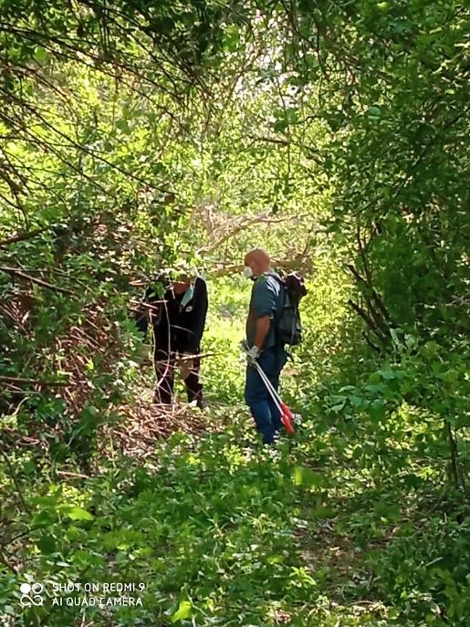 WhatsApp Image 2021-05-09 at 10.41.18