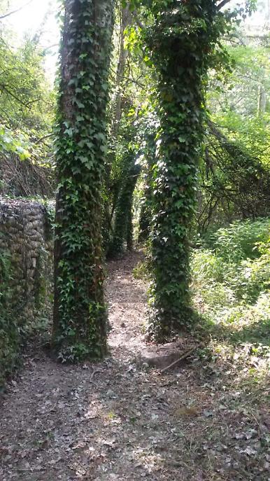 WhatsApp Image 2021-05-09 at 13.14.24