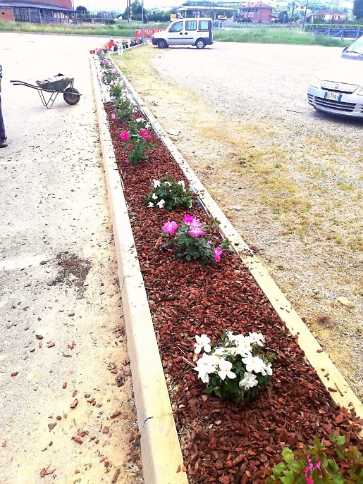 WhatsApp Image 2021-05-19 at 19.33.19