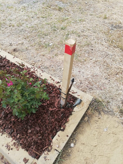 WhatsApp Image 2021-05-19 at 19.33.20