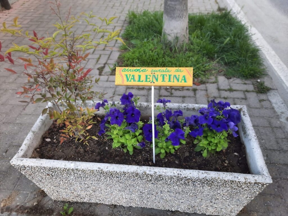 WhatsApp Image 2021-05-20 at 15.21.00 (1)