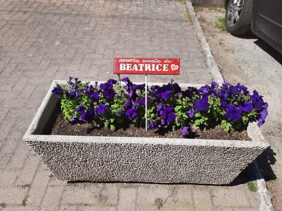 WhatsApp Image 2021-05-20 at 15.21.00 (2)