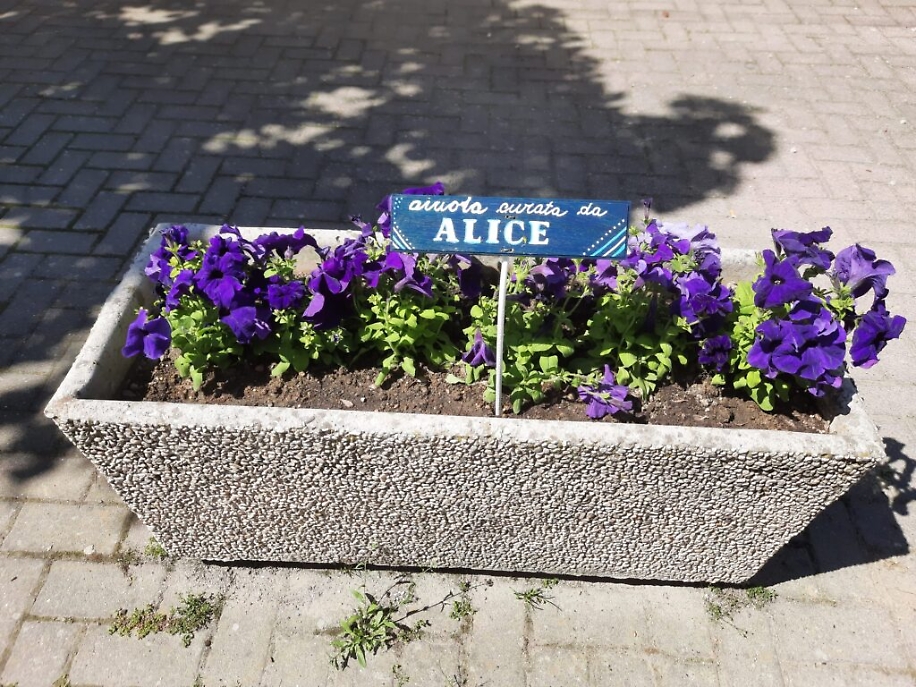 WhatsApp Image 2021-05-20 at 15.21.00 (3)