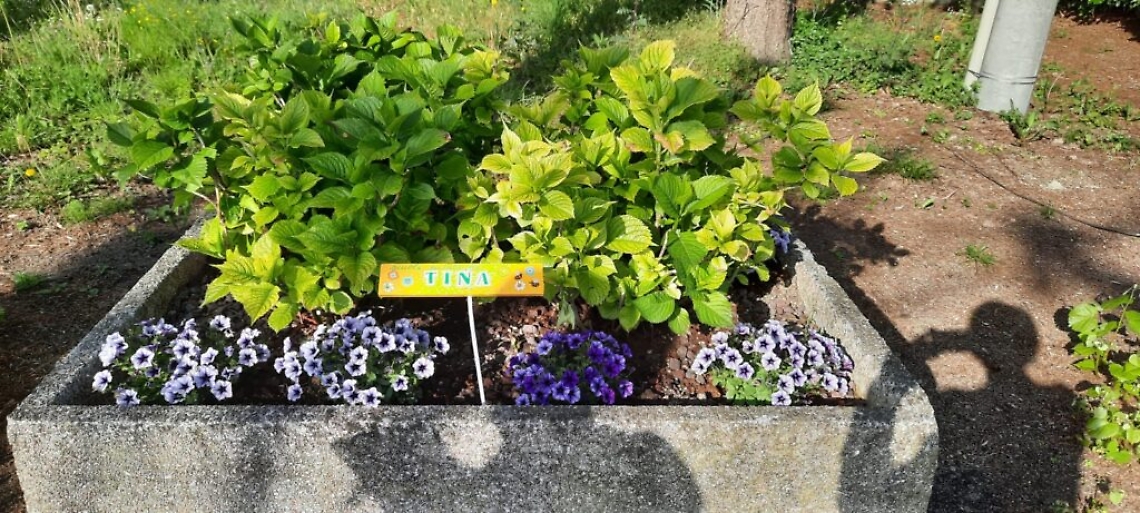 WhatsApp Image 2021-05-20 at 15.21.01 (1)