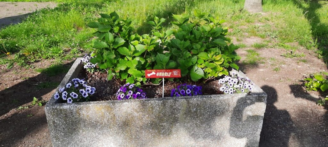 WhatsApp Image 2021-05-20 at 15.21.01 (2)