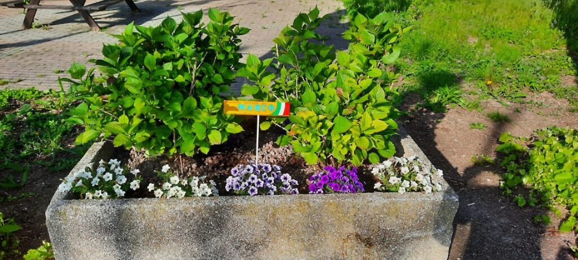 WhatsApp Image 2021-05-20 at 15.21.01 (3)