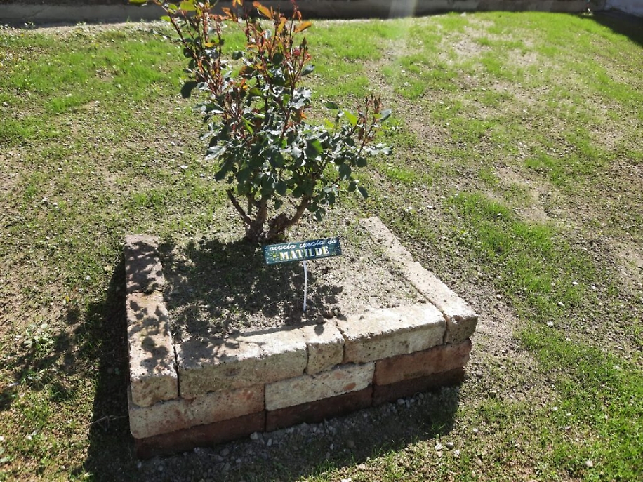 WhatsApp Image 2021-05-20 at 15.21.01 (4)