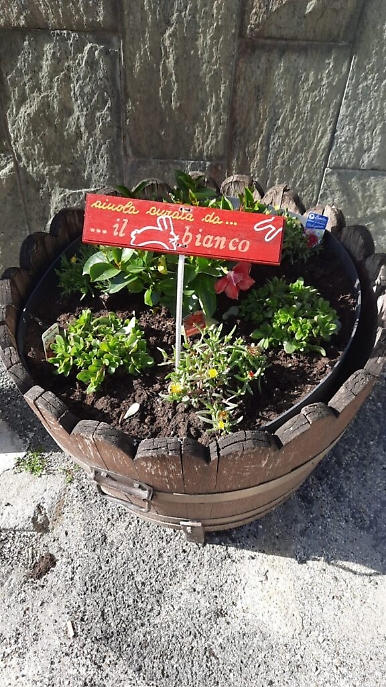 WhatsApp Image 2021-05-20 at 15.21.01 (5)