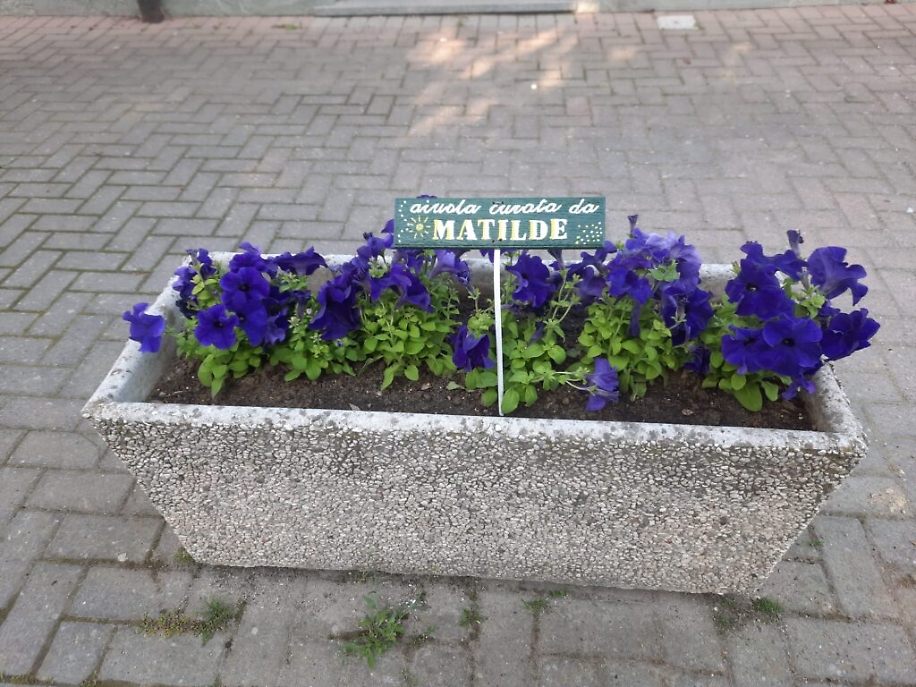 WhatsApp Image 2021-05-20 at 15.21.01