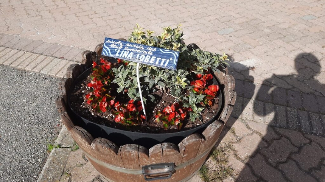 WhatsApp Image 2021-05-20 at 15.21.02 (1)