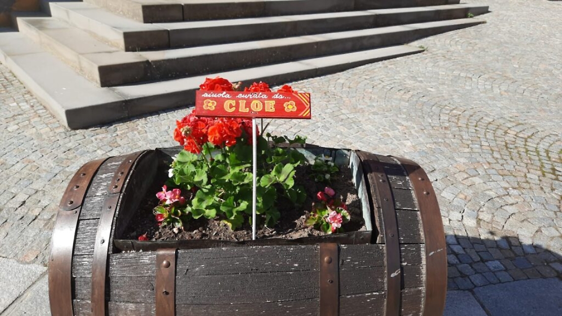 WhatsApp Image 2021-05-20 at 15.21.02 (3)