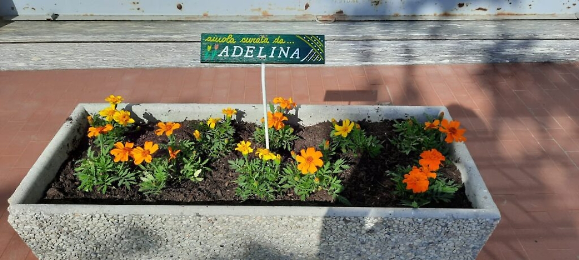 WhatsApp Image 2021-05-20 at 15.21.02 (4)