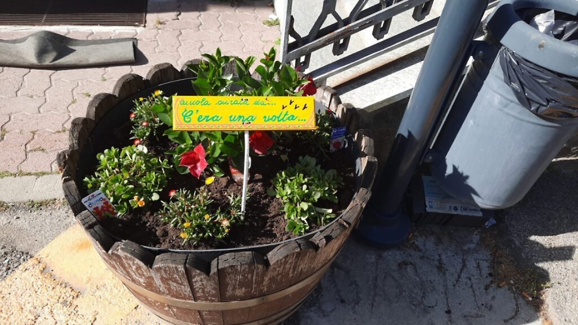 WhatsApp Image 2021-05-20 at 15.21.02