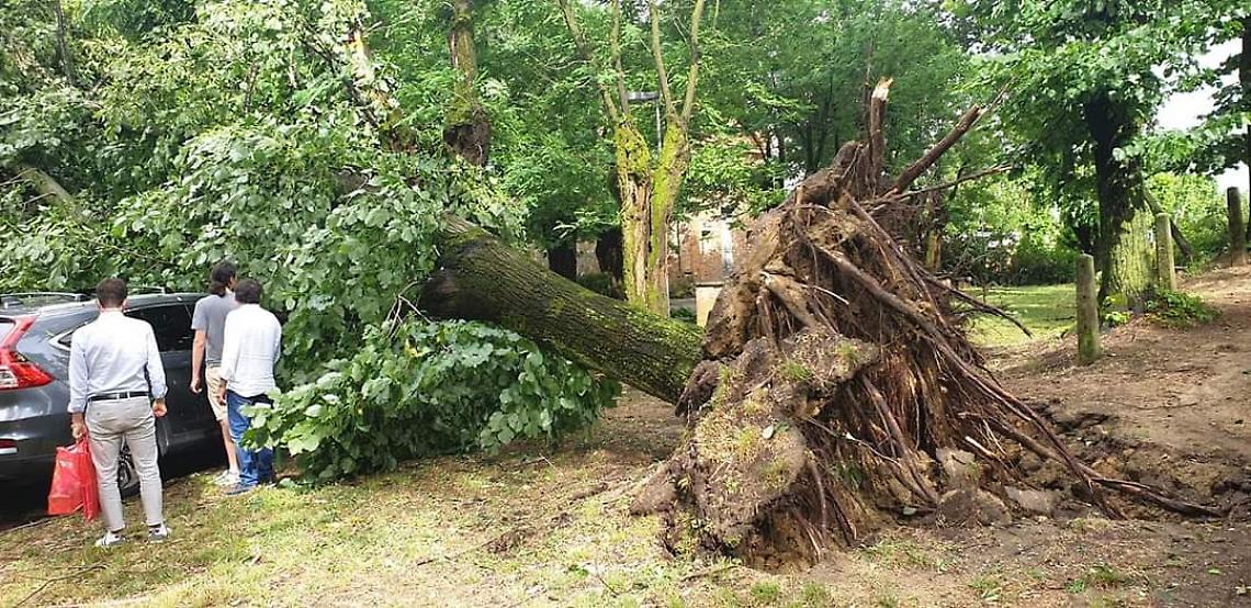 I danni del maltempo sull'Astigiano