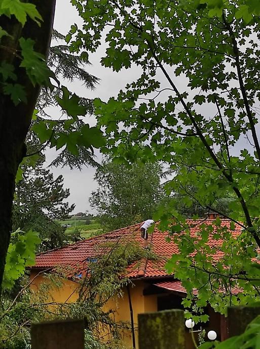 I danni del maltempo sull'Astigiano